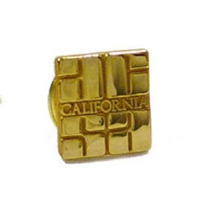 ACSA Logo Pin